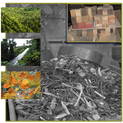 La madera reciclada salva miles de árboles cada año. La madera reciclada salva miles de árboles cada año.