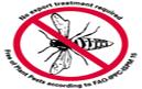 La Normativa Fitosanitaria NIMF-15 entr en vigor en el ao 2004 y se aplica a palets y embalajes de madera para la exportacin.